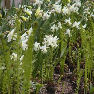 5aa064ab26c92_002__P5050011_50ca118c2a2b8