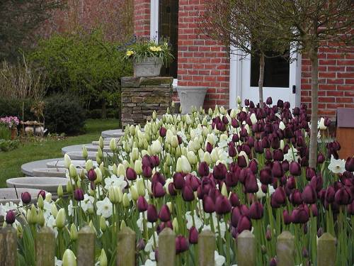 5aa064ab26c92_001__P5050009_50ca1180ddbd3