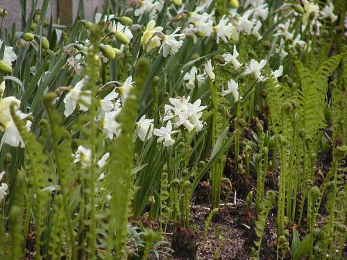 5aa064ab26c92_002__P5050011_50ca118c2a2b8