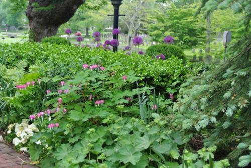 5aa064b5d8cf7_005__DSC_3846_5509d6652555f