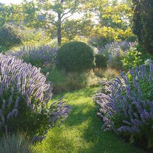 5aa064bf4016c_003__webphotos-09_50ca113ba321d