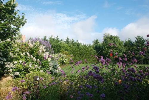 5aa064bf4032f_000__1-header-21