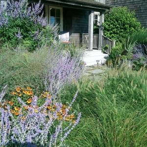 5aa064c82237b_000__IMAG1564_589f88fe21129-1