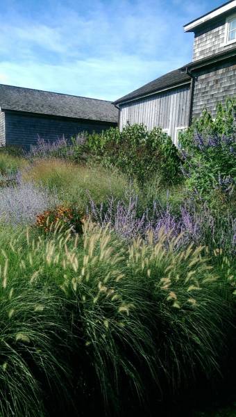 5aa064c82237b_003__IMAG1563_589f88f2e4ffa-1