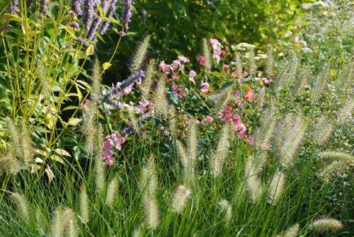 5aa064c82251c_000__webphotos-04_50ca10ce629c9-3