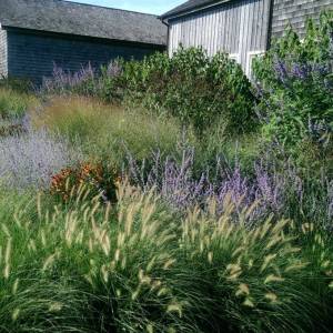 5aa05e16b0ad0_001__IMAG1563_58a46542d3a7f