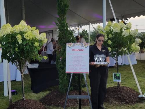 5aa05e6b9a635_005__5-4