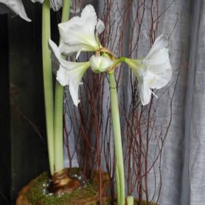 5aa05e40836c6_003__cid_76FD1A35-4873-4B82-97D0-44D5B17E8C3C_5303827b7c3aa