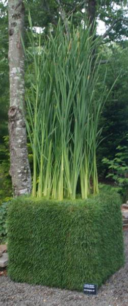 5aa05e40836c6_000__cid_408F8617-C122-44F7-9B56-7DE2938B92E1_a_5303828527022