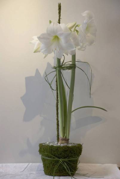 5aa05e40836c6_004__cid_AC1A7635-C741-40B8-BA9