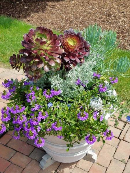 5aa05e40836c6_005__20160621_110912_589f8a7a9e2d3-e1520460860787