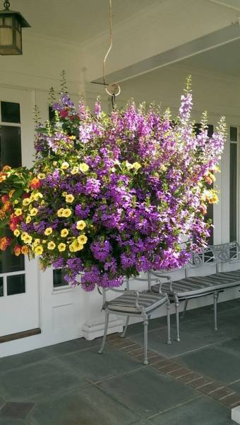 5aa05e40836c6_006__IMAG1573_58a467f97a33a