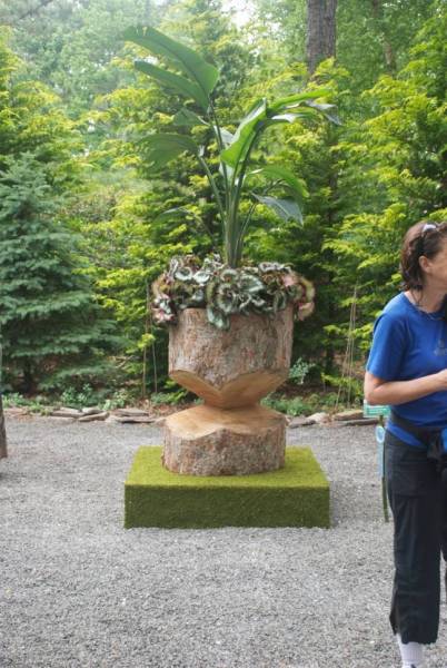 5aa05e40836c6_007__DSC_0001_b_530382b091dda