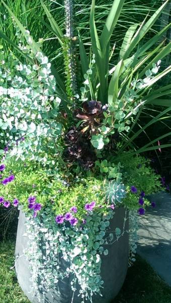 5aa05e40836c6_008__IMAG1570_589f8a8703d29