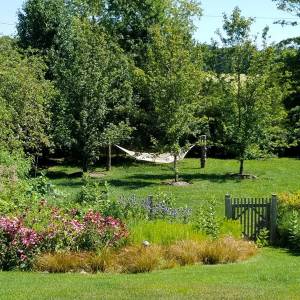 1_5a9d9f043a118_000__20160803_105947_589f76af9522e