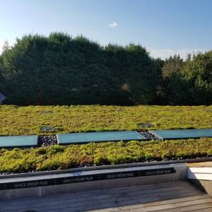 1_5aa05e4c72b2d_000__1-3