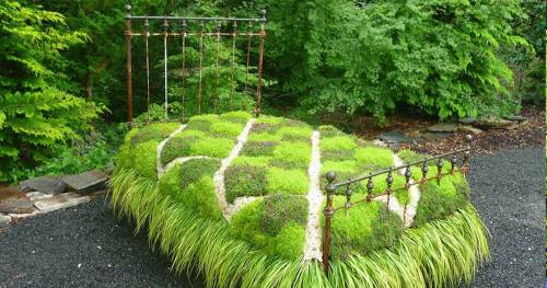 Cover-Bed-made-of-flowers-and-grass