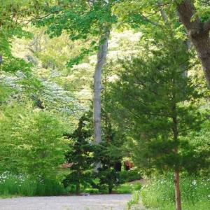 5aa05e35e6361_000__webphotos-25_50ca123405baf_big_534d84d66e002