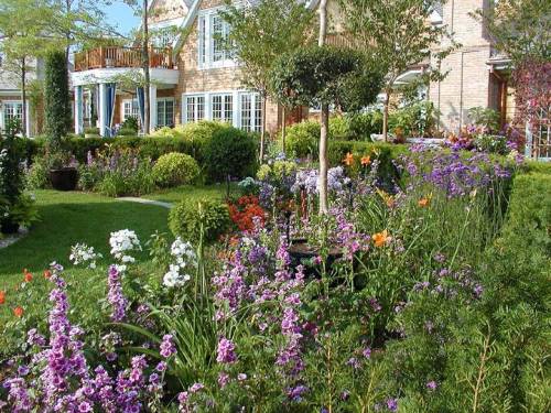 5aa05e0c564b4_000__P7090121_50ca0f914d32a