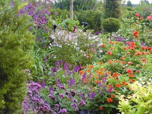 5aa05e0c564b4_001__P8240051_50ca0f9dcb4df