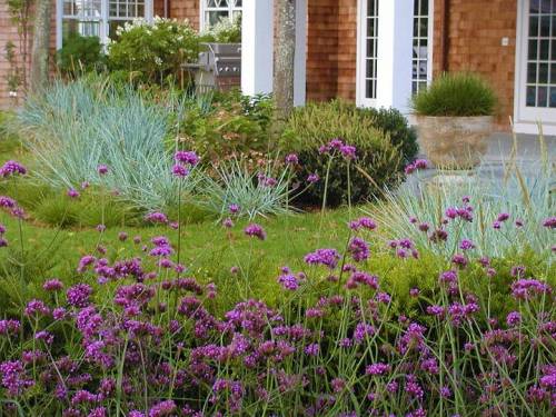 5aa05e0c564b4_004__P8240053_50ca0fa3b38e7