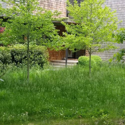 20190529_134626_r